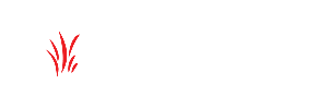 Jankari